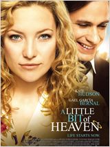 A Little Bit of Heaven FRENCH DVDRIP 2012