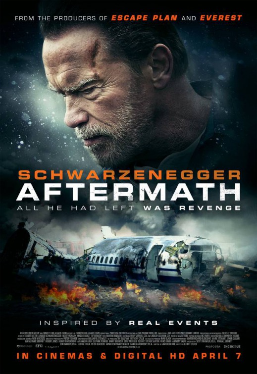Aftermath FRENCH BluRay 1080p 2017