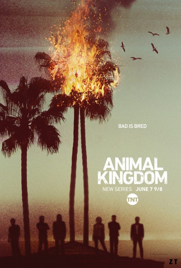 Animal Kingdom S01E01 FRENCH HDTV