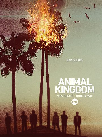 Animal Kingdom S01E02 VOSTFR HDTV