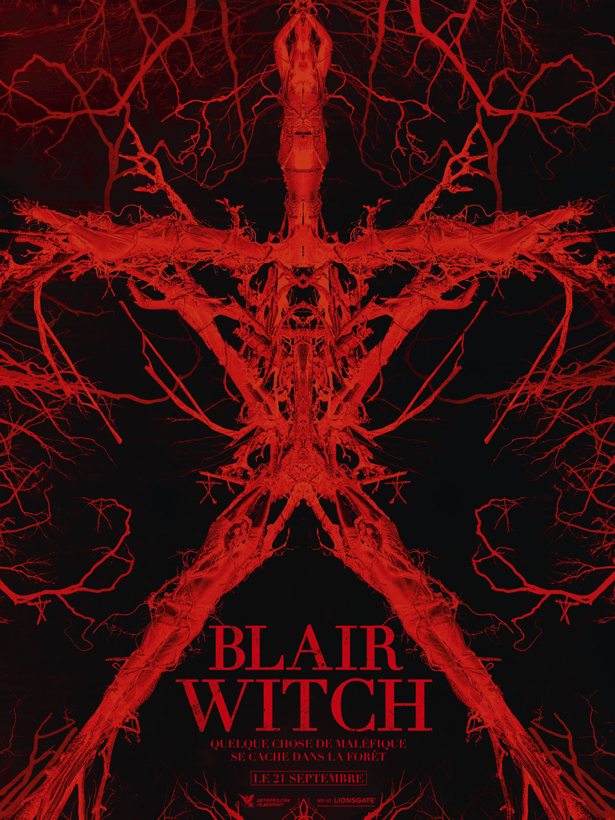 Blair Witch TRUEFRENCH DVDRIP 2016
