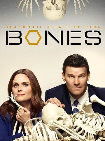 Bones S11E16 VOSTFR HDTV