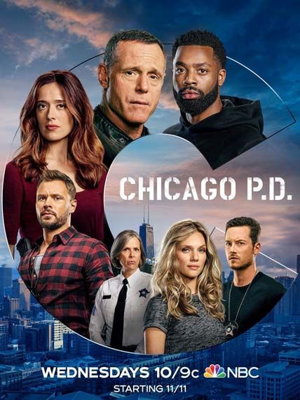 Chicago Police Department S08E14 FRENCH HDTV