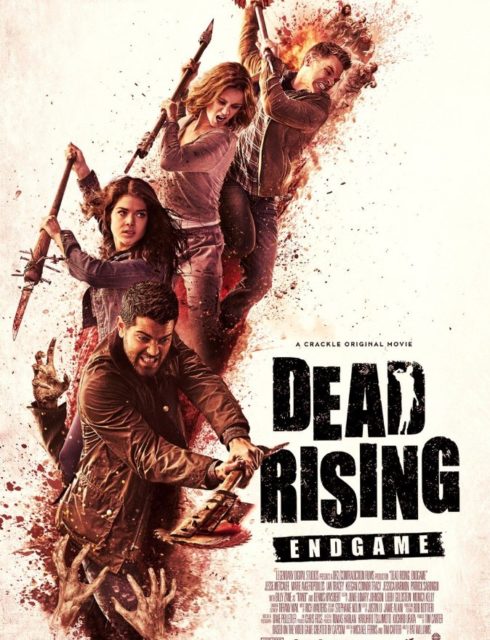 Dead Rising: Endgame FRENCH DVDRIP 2017