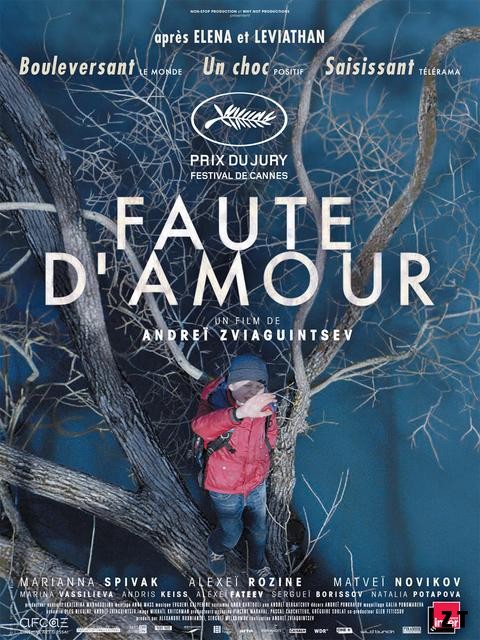 Faute d'amour FRENCH BluRay 1080p 2018