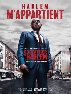 Godfather of Harlem S01E09 FRENCH HDTV