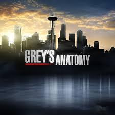 Grey's Anatomy S11E24 FINAL VOSTFR HDTV