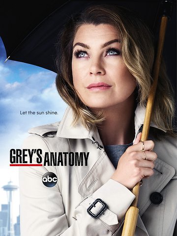 Grey's Anatomy S12E01 VOSTFR HDTV
