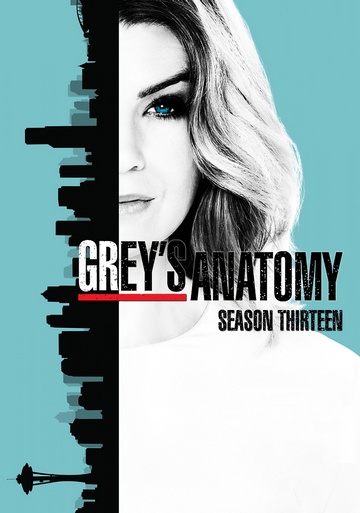 Grey's Anatomy S13E15 FRENCH HDTV