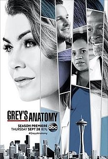 Grey's Anatomy S14E01 FRENCH HDTV