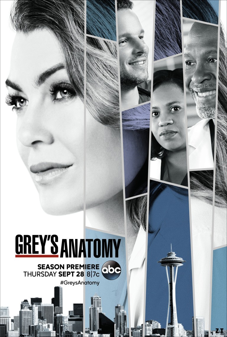 Grey's Anatomy S14E03 FRENCH HDTV