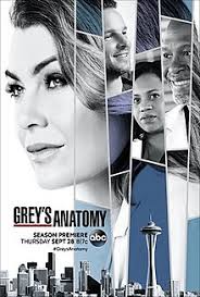 Grey's Anatomy S14E17 VOSTFR HDTV