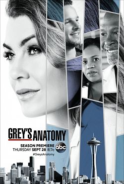 Grey's Anatomy S15E05 FRENCH HDTV