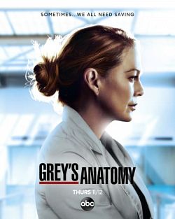 Grey's Anatomy S17E01 FRENCH HDTV