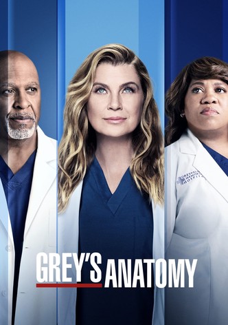 Grey's Anatomy S18E04 VOSTFR HDTV