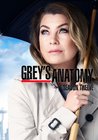 Grey's Anatomy Saison 12 FRENCH HDTV