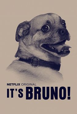 It’s Bruno ! Saison 1 FRENCH + VOSTFR BluRay 1080p HDTV