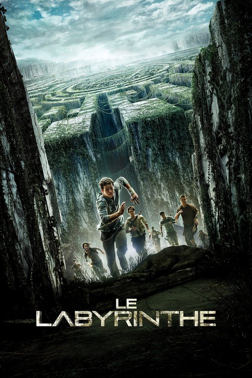 Le Labyrinthe FRENCH HDLight 1080p 2014