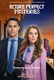 Picture Perfect Mysteries FRENCH WEBRIP 720p 2021