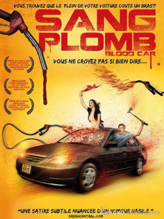 Sang Plomb TRUEFRENCH DVDRIP 2007