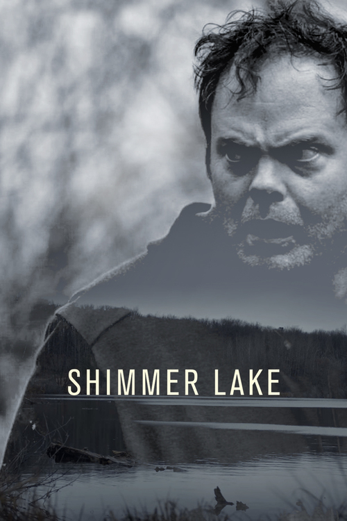 Shimmer Lake FRENCH WEBRIP 720p 2017