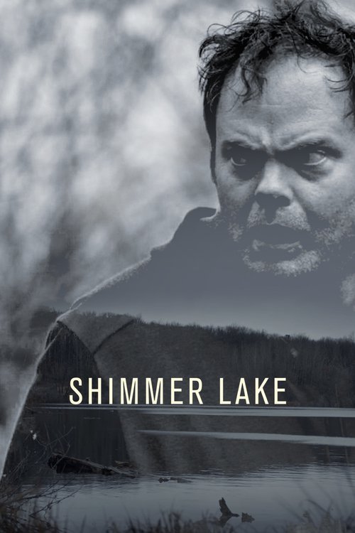 Shimmer Lake FRENCH WEBRIP x264 2017