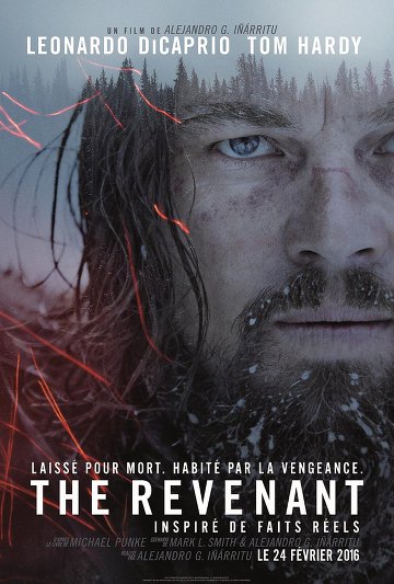 The Revenant FRENCH DVDRIP 2016
