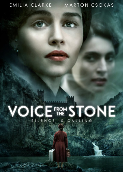 Voice From the Stone FRENCH BluRay 1080p 2017
